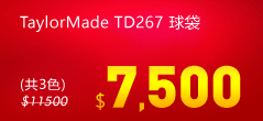 TaylorMade TD267 yU